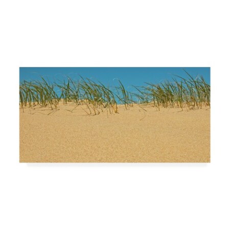 Trademark Fine Art